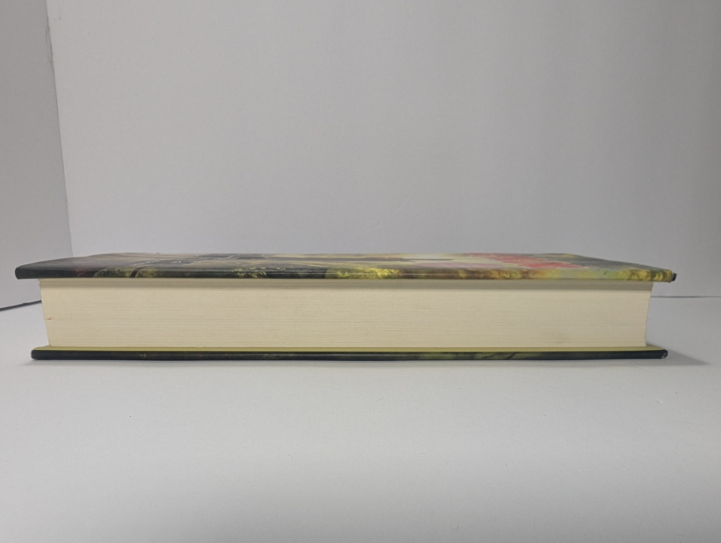 The Highwayman: A Novel of Corona