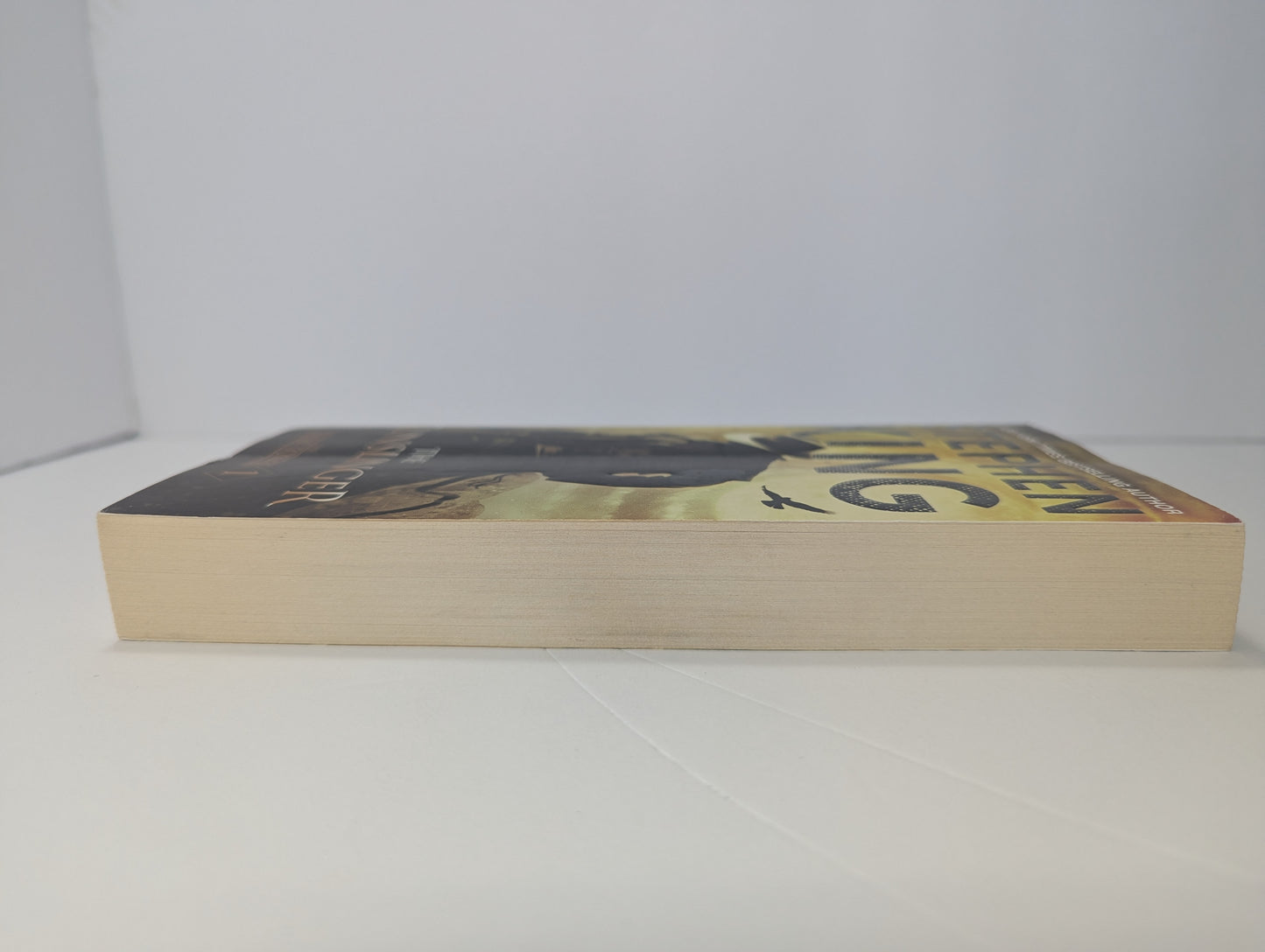 The Dark Tower I: The Gunslinger