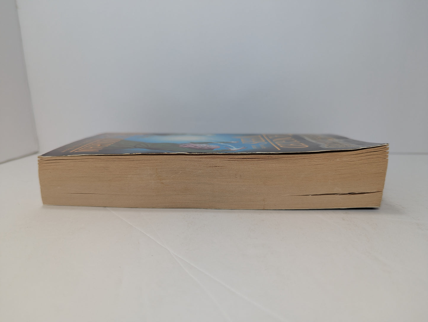 Tangled Webs (Forgotten Realms: Starlight and Shadows, Book 2)