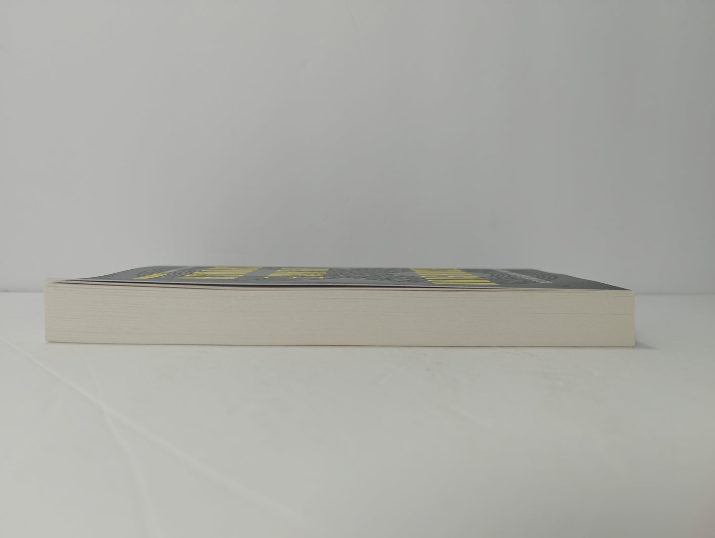 Recursion: A Novel