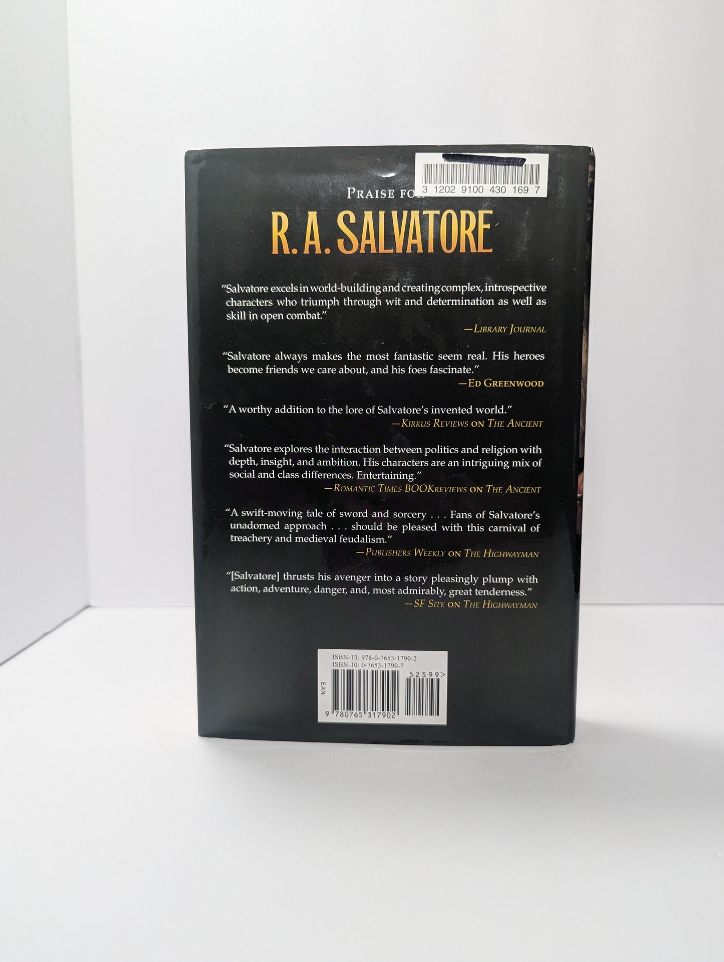 The Dame (Saga of the First King)