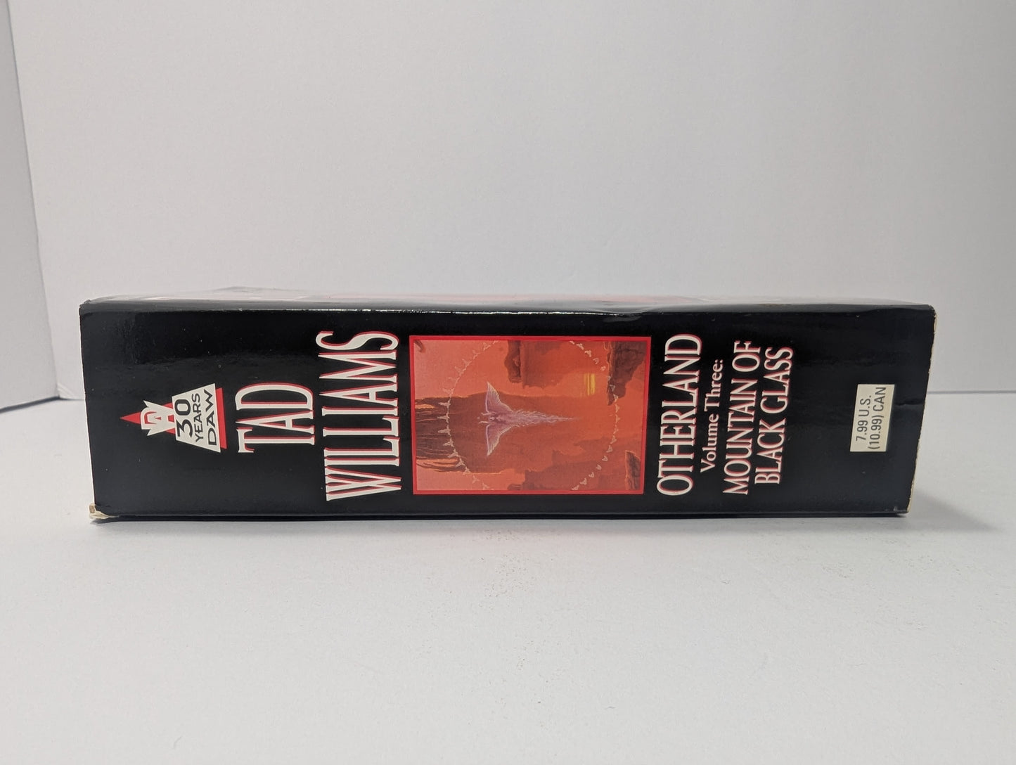 Mountain of Black Glass (Otherland, Volume 3)