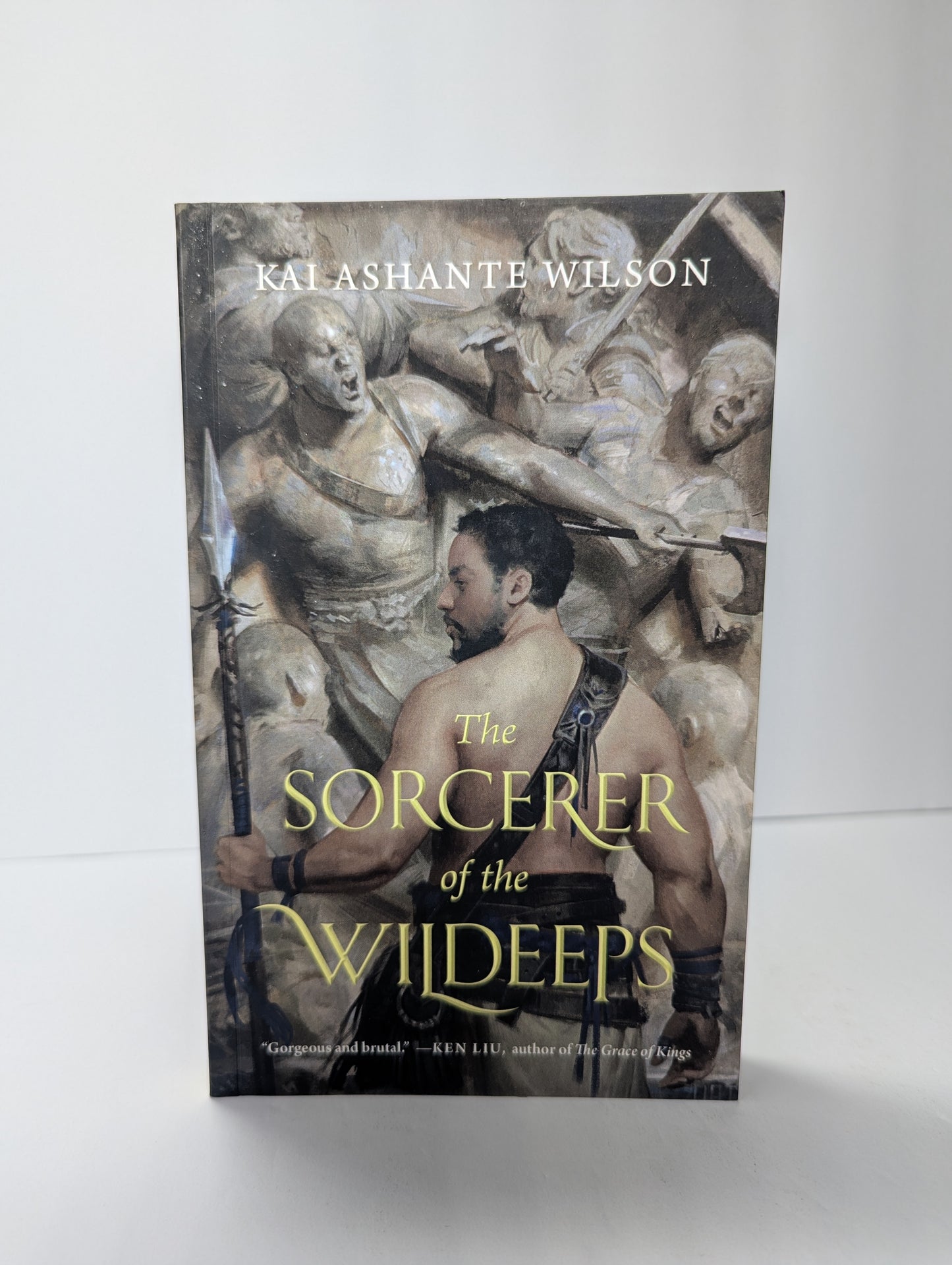 The Sorcerer of the Wildeeps