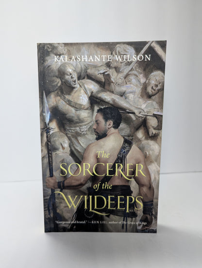 The Sorcerer of the Wildeeps
