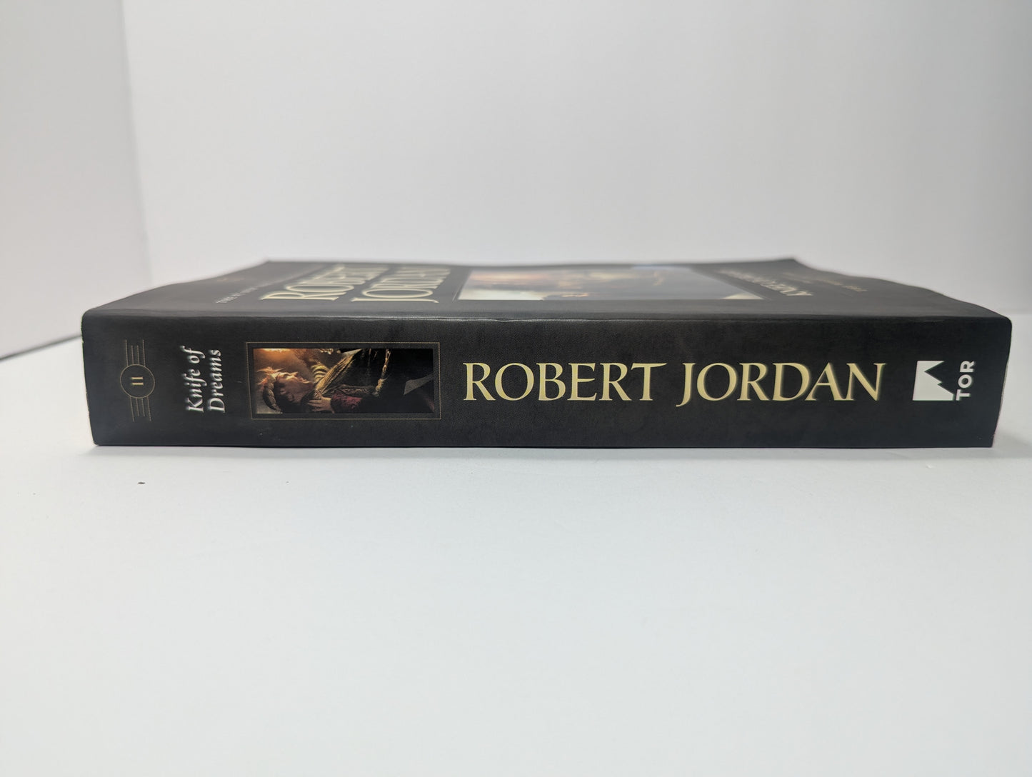 Knife of Dreams: Book Eleven of 'The Wheel of Time'