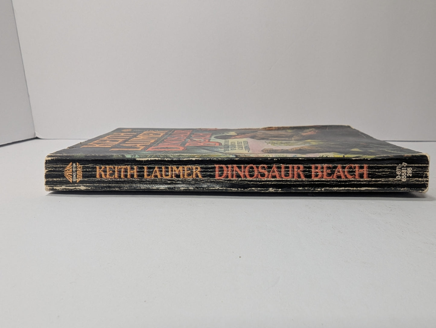 Dinosaur Beach