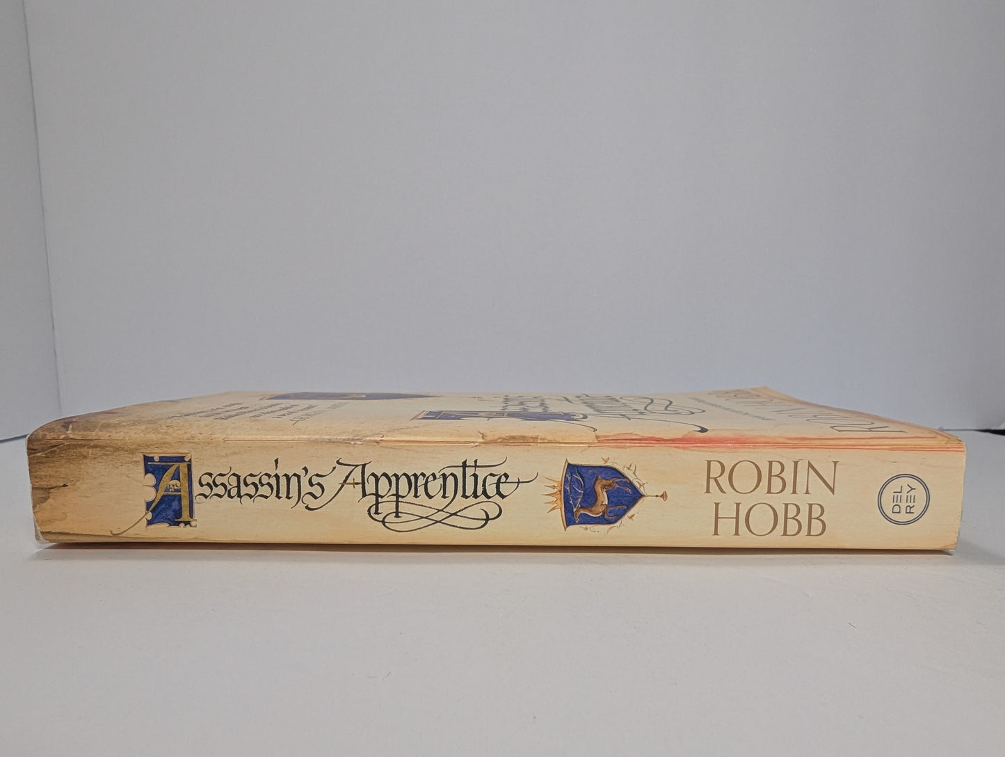 Assassin's Apprentice (Farseer Trilogy)