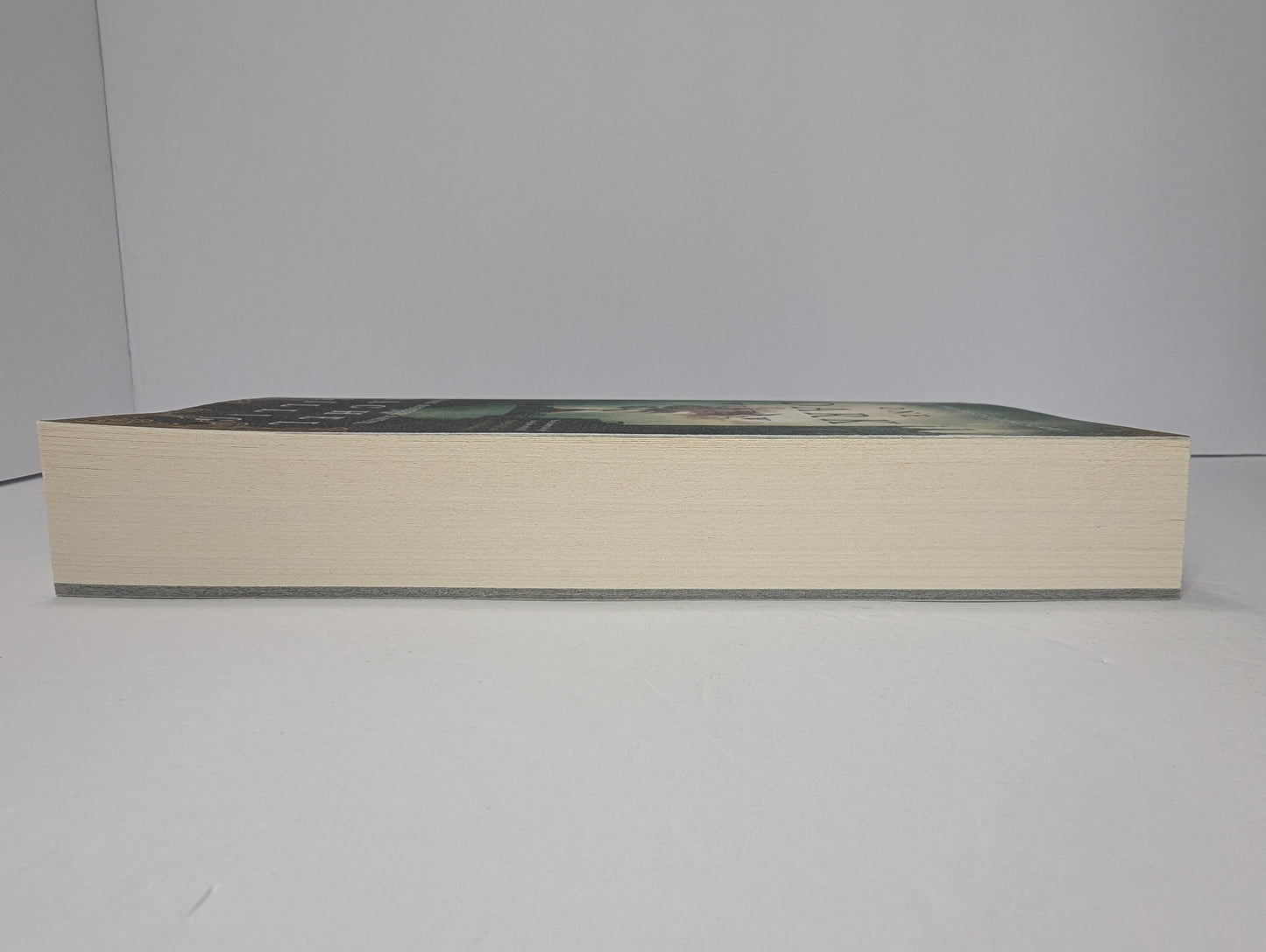 One Dark Window (The Shepherd King, 1)