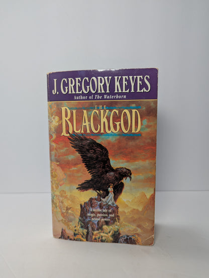 The Blackgod: Book 2