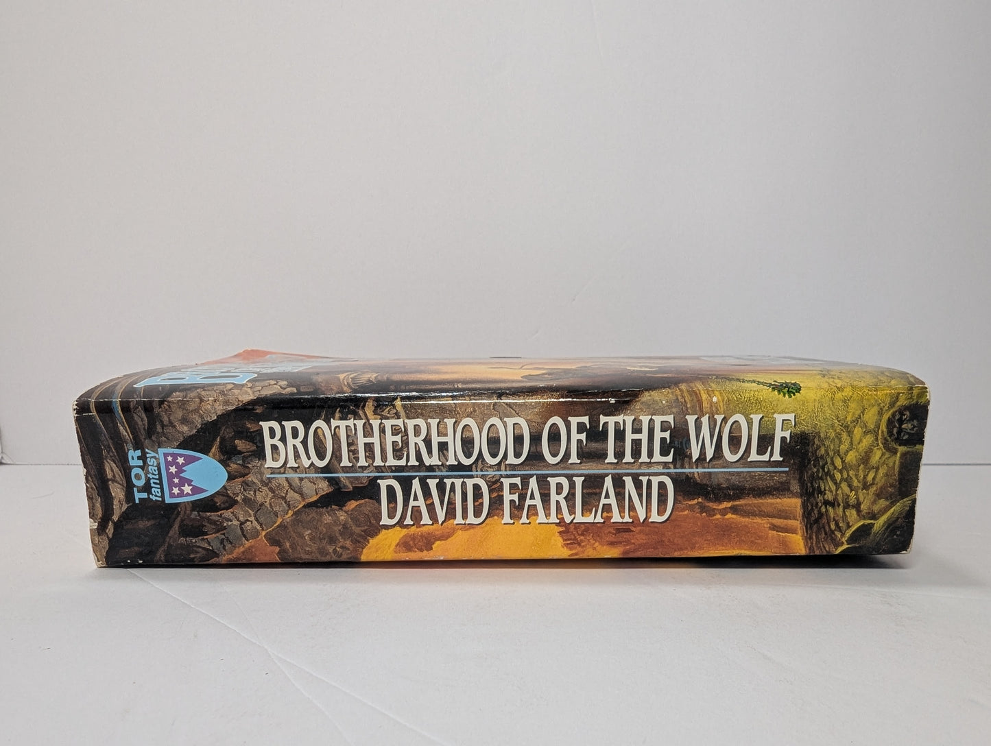 Brotherhood of the Wolf (The Runelords, Book Two)