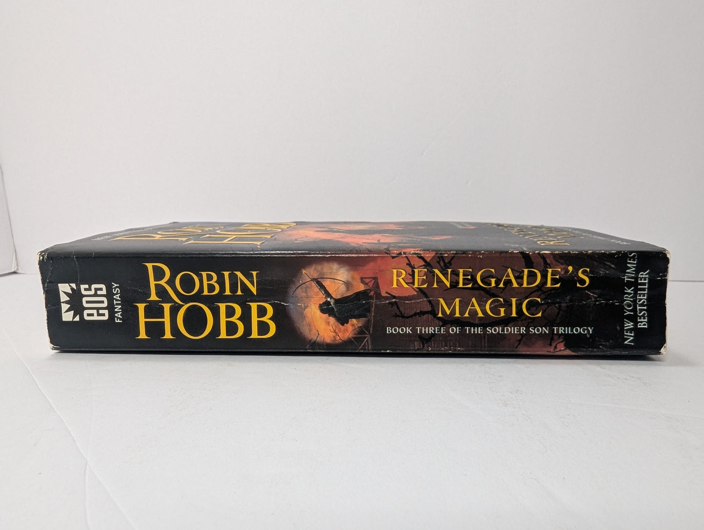 Renegade's Magic: Book Three of The Soldier Son Trilogy