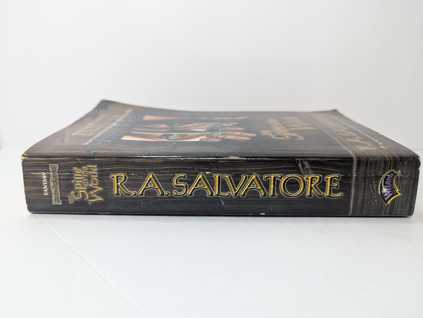 The Spine of the World (Forgotten Realms: Paths of Darkness, Book 2)
