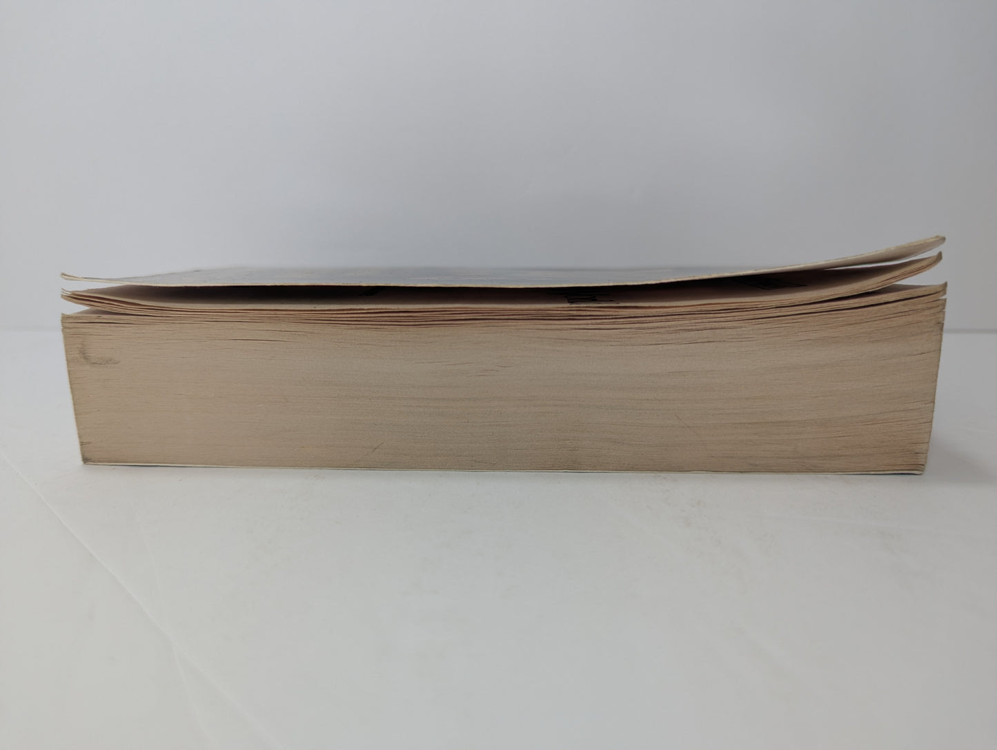 The Spine of the World (Forgotten Realms: Paths of Darkness, Book 2)