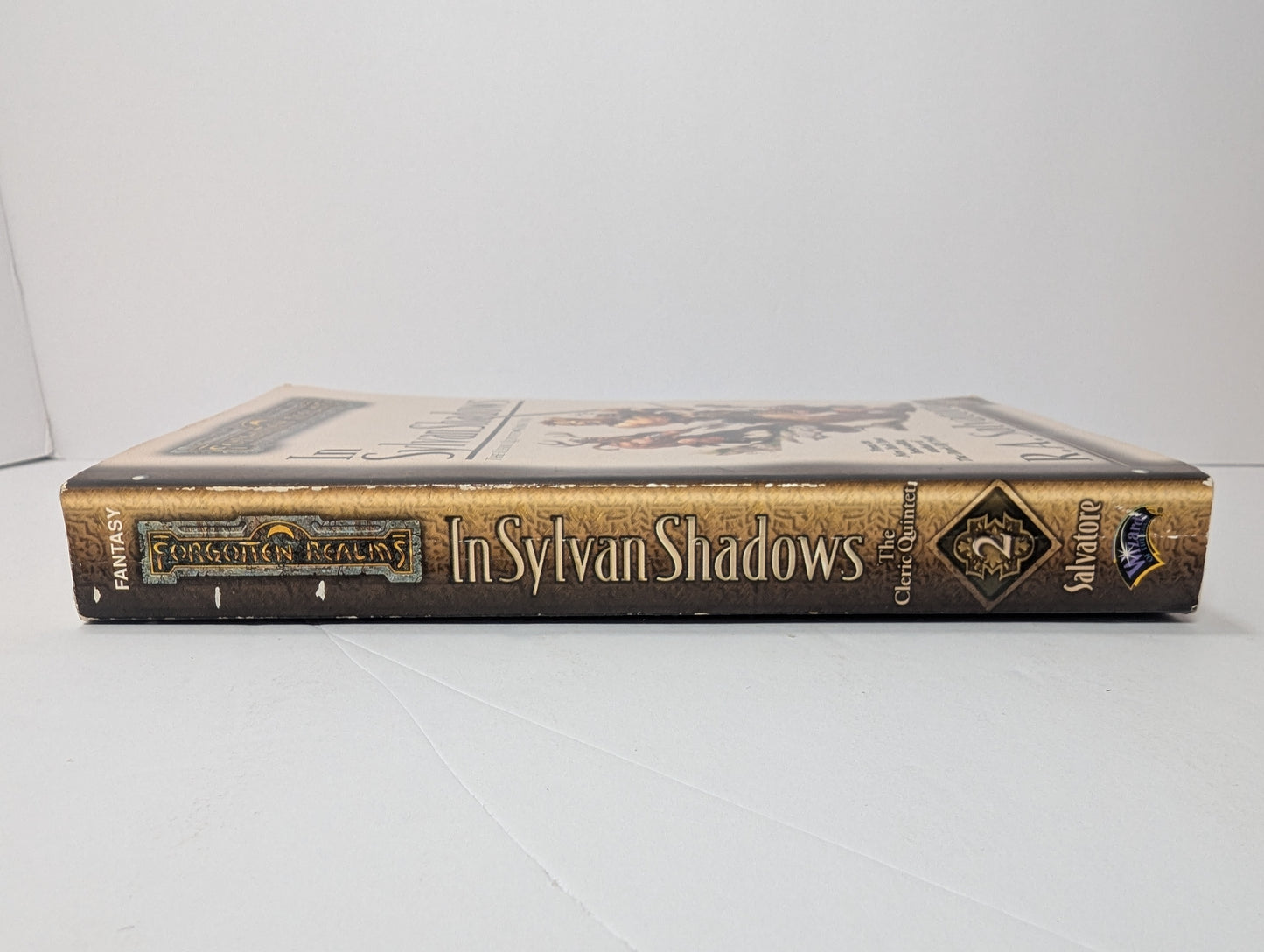 In Sylvan Shadows (Forgotten Realms)