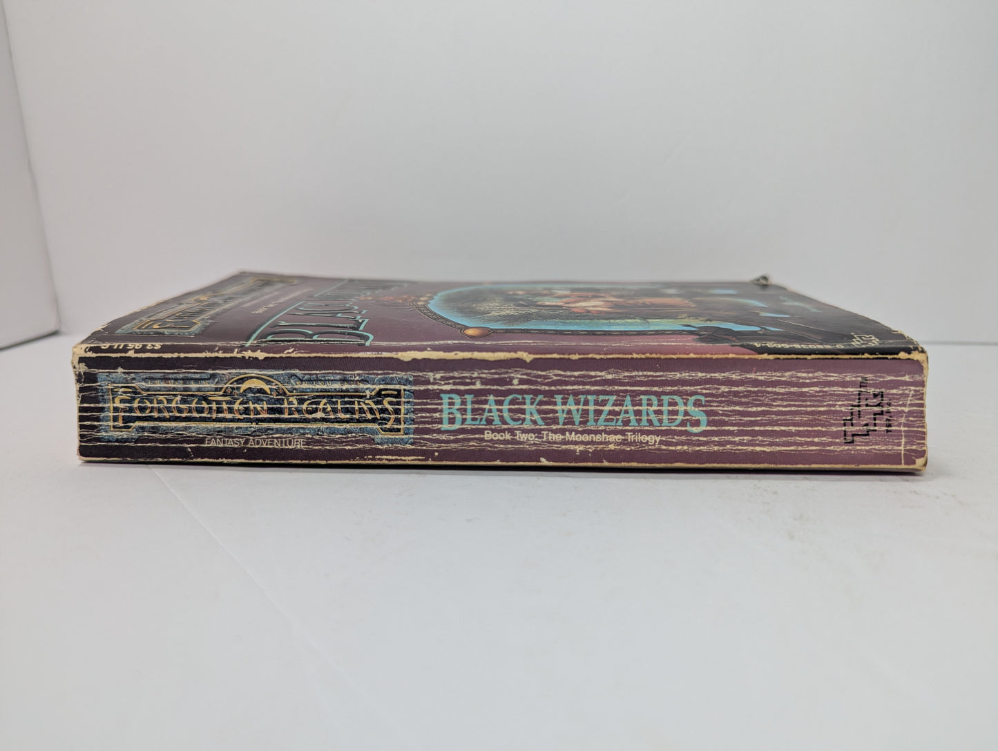 Black Wizards (Forgotten Realms: the Moonshae Trilogy, 2)