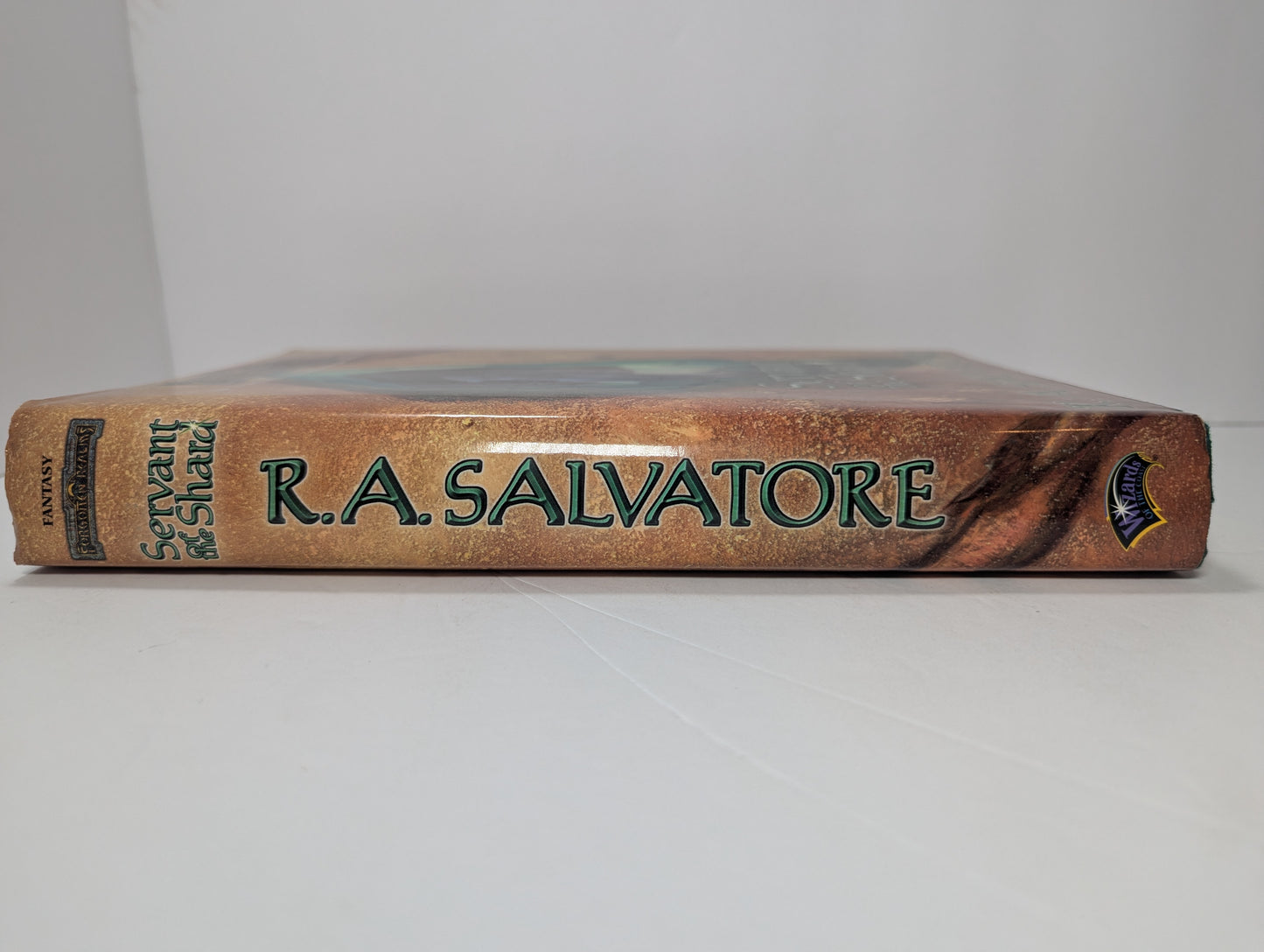 Servant of the Shard (Forgotten Realms: Paths of Darkness, Book 3) (Forgotten Realms: the Sellswords, 1)
