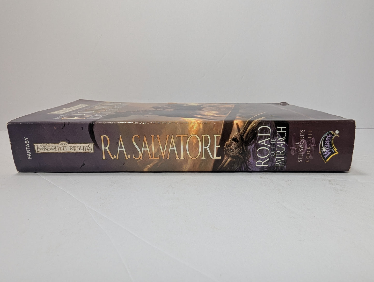 Road of the Patriarch (Forgotten Realms: The Sellswords, Book 3)