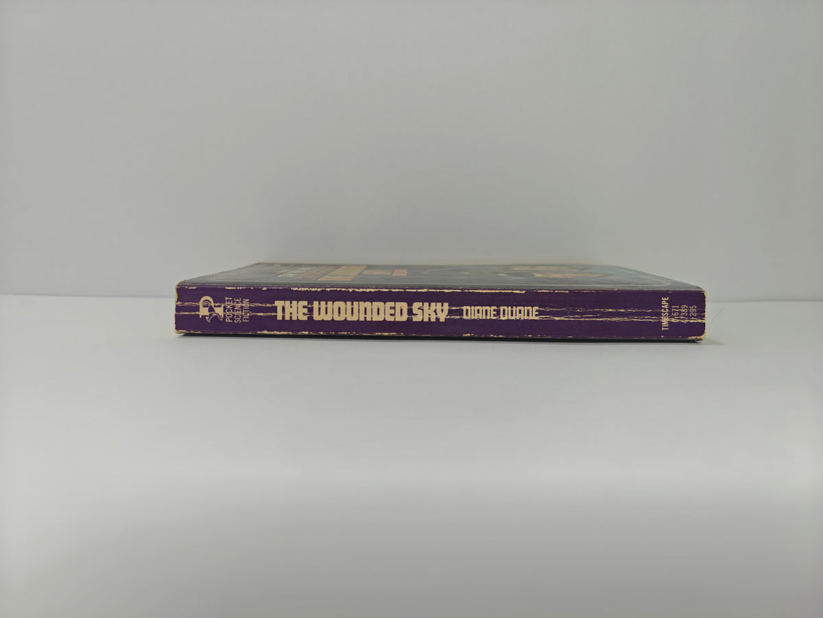 The Wounded Sky (Star Trek, No. 13)