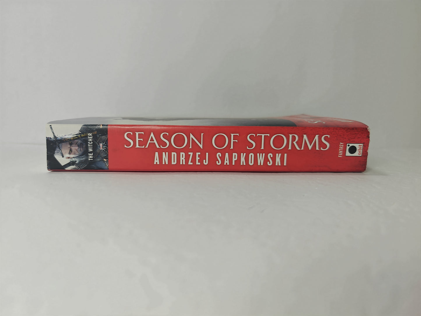 Season of Storms (The Witcher, 8)