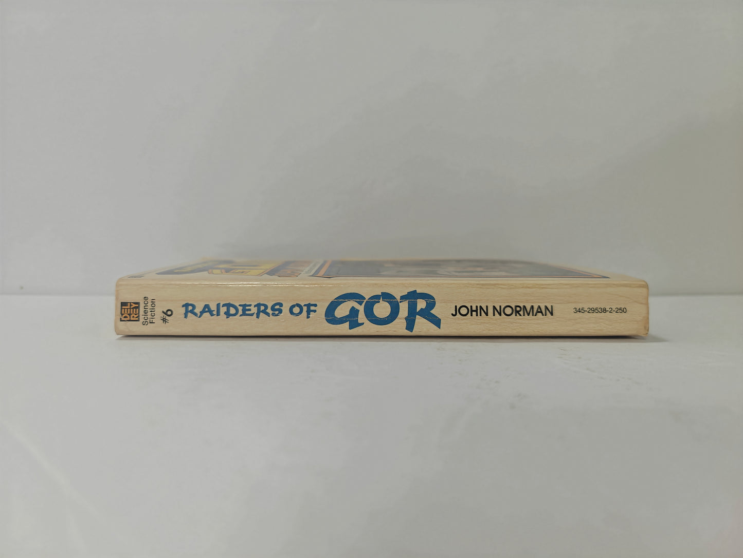 Raiders of Gor