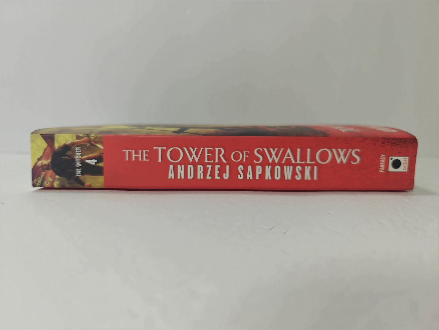 The Tower of Swallows (The Witcher, 6)