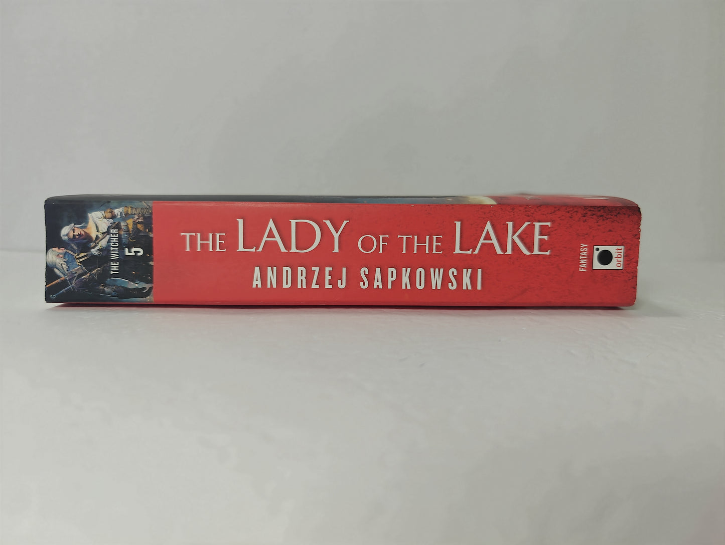 The Lady of the Lake (The Witcher, 7)