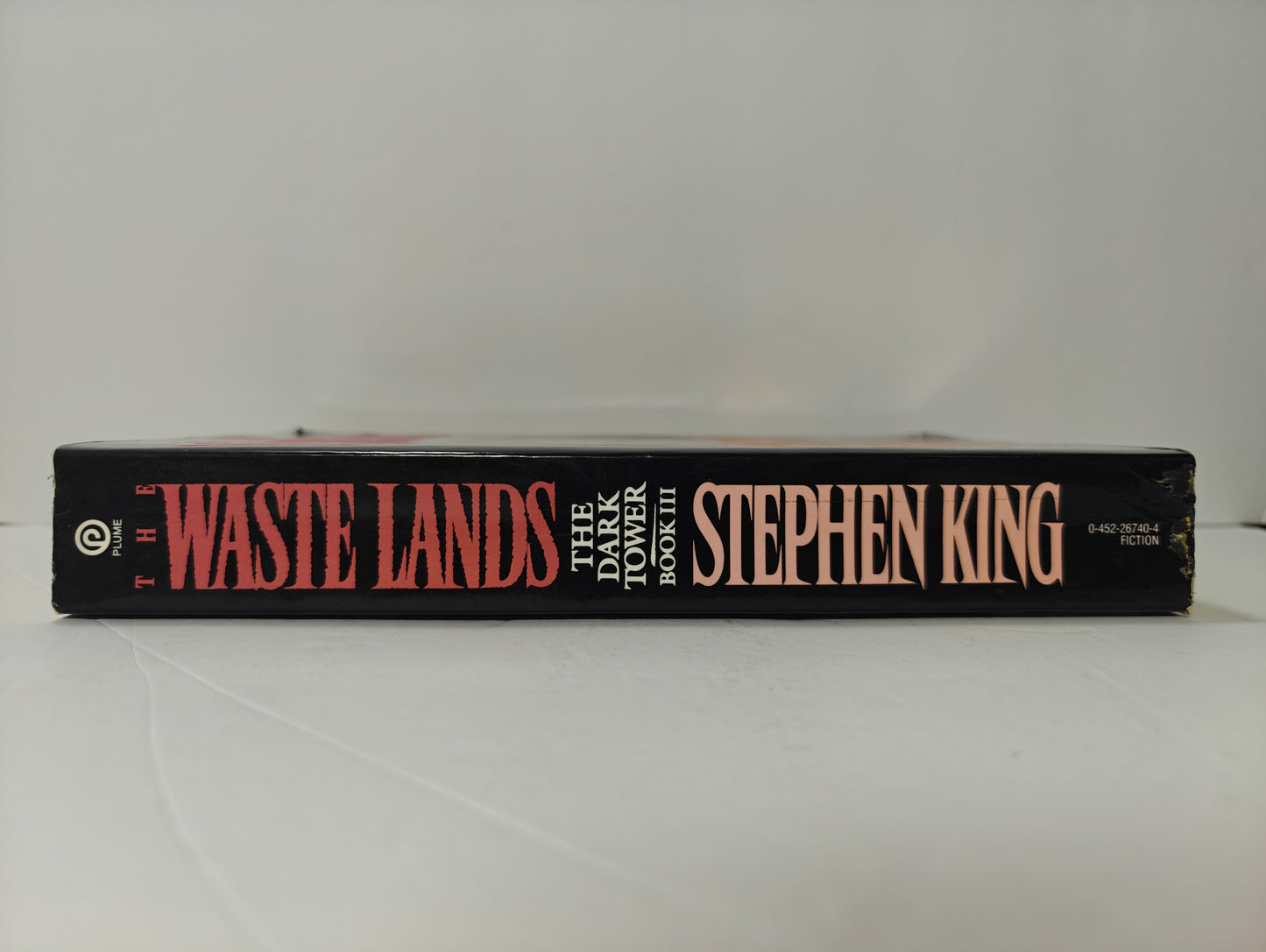 The Waste Lands: The Dark Tower Book III