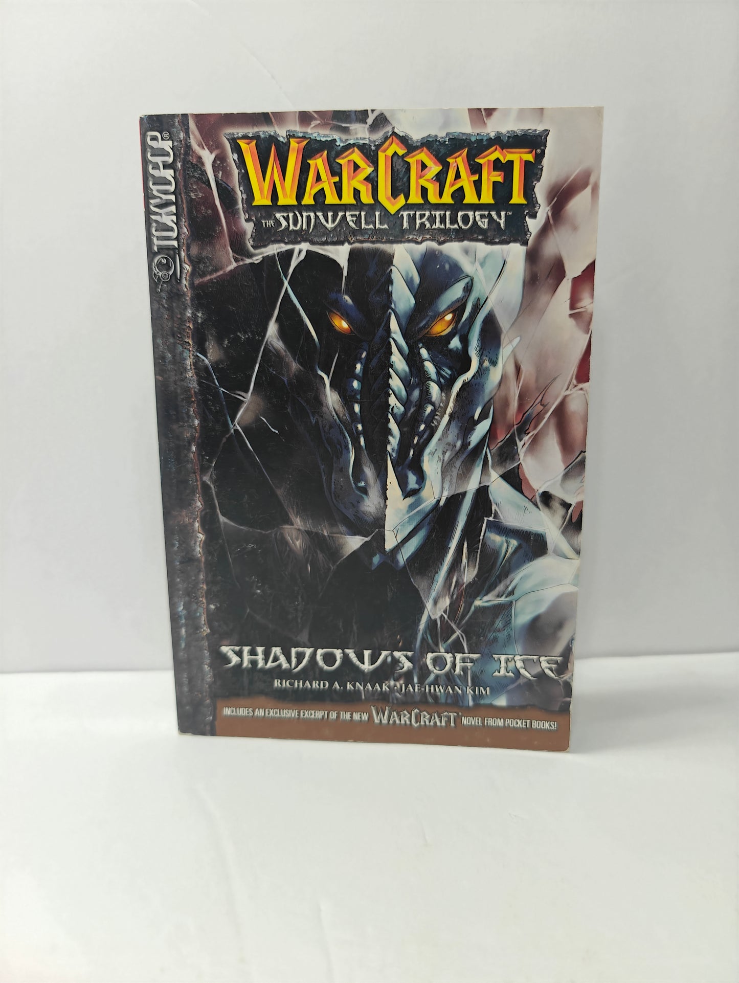 Shadows of Ice (WarCraft: The Sunwell Trilogy, Book 2)