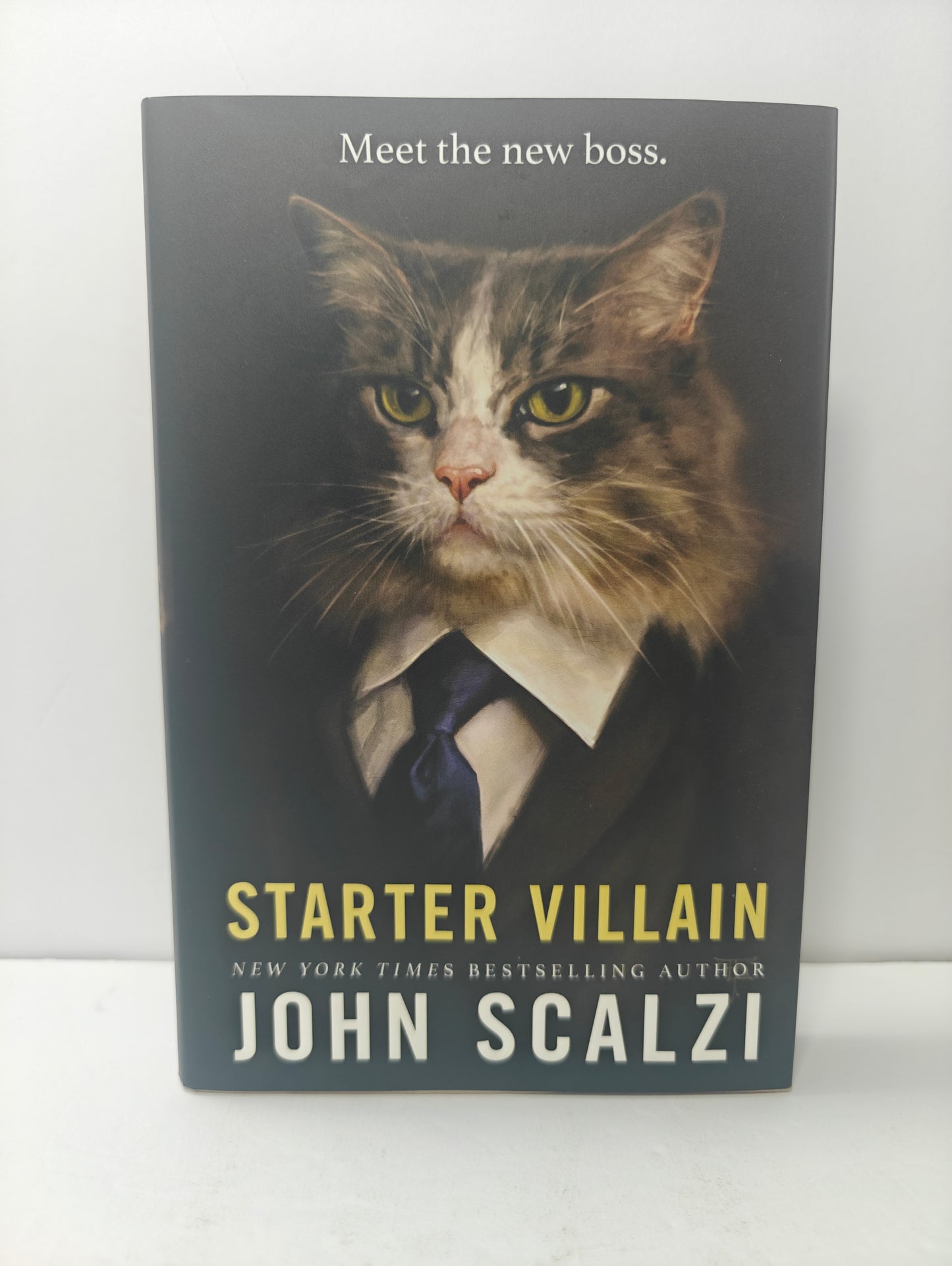 Starter Villain