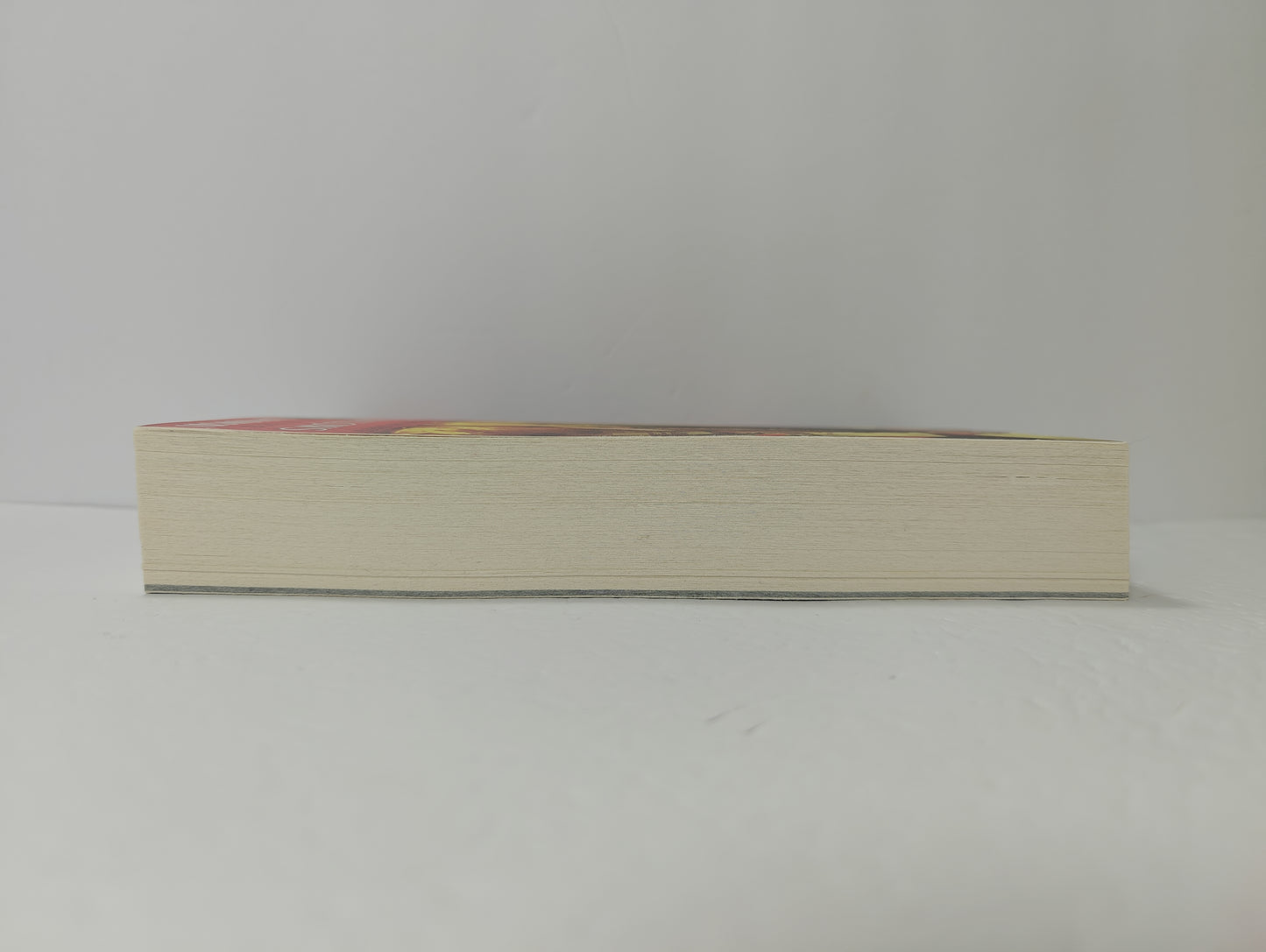 The Tower of Swallows (The Witcher, 6)
